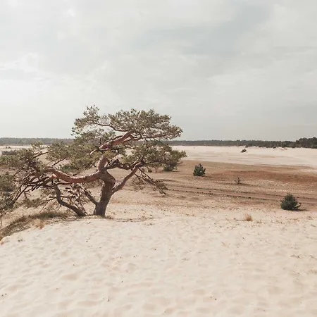 Hébergement de vacances Tinyhouse Grasmus *