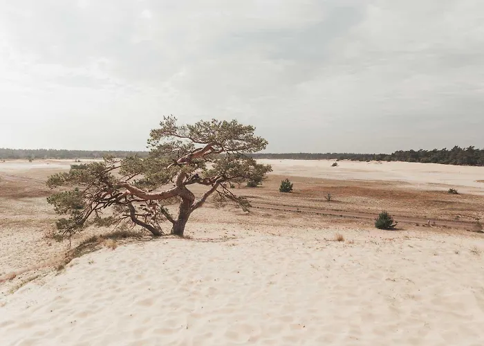 Semesterbostad Tinyhouse Grasmus *