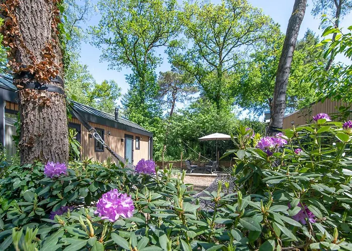 Tinyhouse Grasmus Semesterbostad Nunspeet