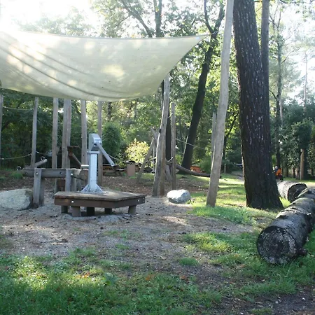 Tinyhouse Grasmus *