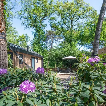 Tinyhouse Grasmus Сasa de vacaciones Nunspeet